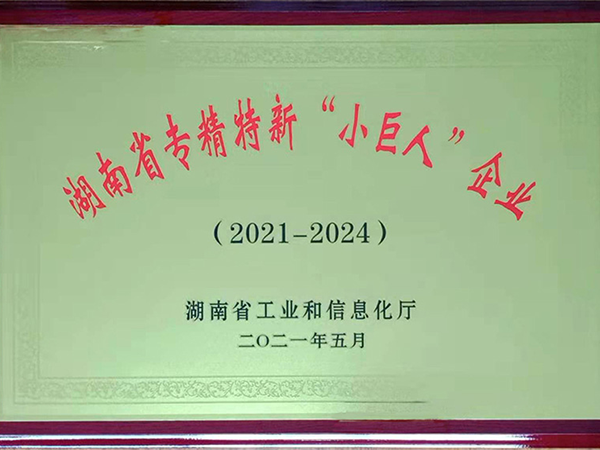 湖南省專精特新“小巨人”企業