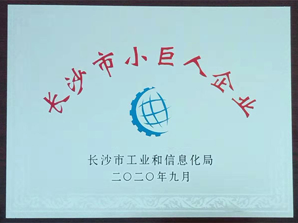 長沙市小巨人企業
